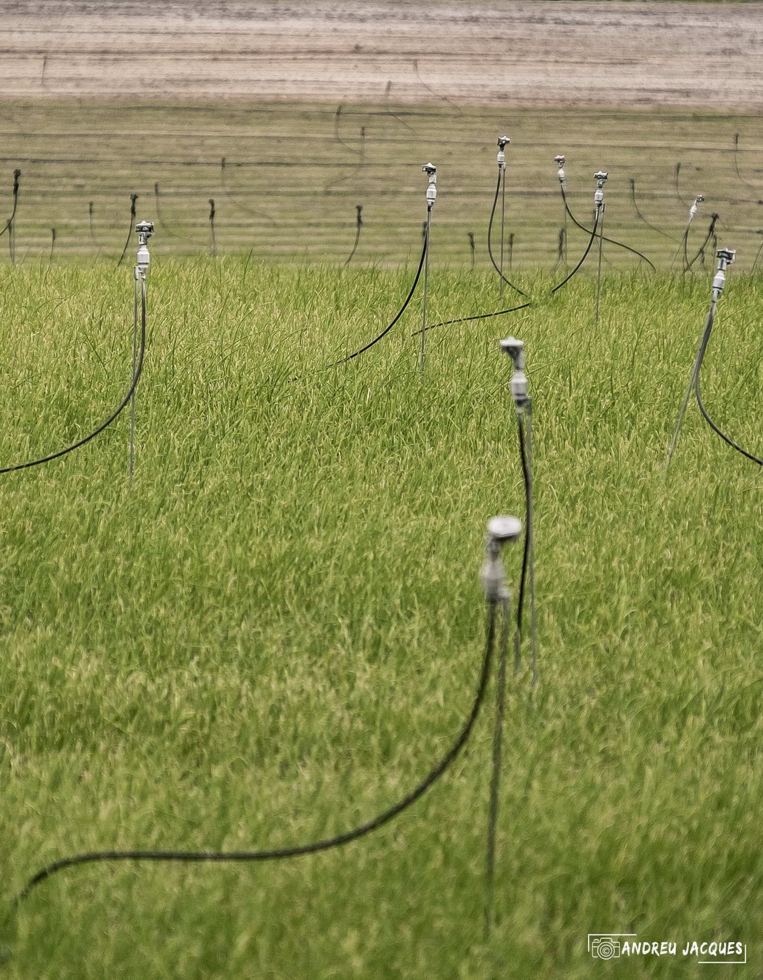 Portugal Ocean en hiver© ANDREU Jacques-20.jpg